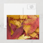 Maryland Autumn Leaves Briefkaart (Voorkant / Achterkant)