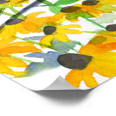 Maryland Baltimore Oriole Black Eyed Susans Poster (Hoek)