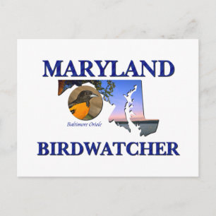 Maryland Birdwatcher Briefkaart