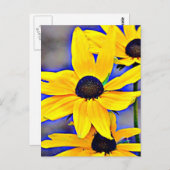 Maryland Black Eyed Susan Briefkaart (Voorkant / Achterkant)