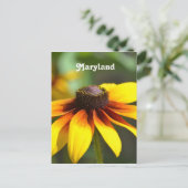 Maryland Black Eyed Susan Briefkaart (Staand voorkant)