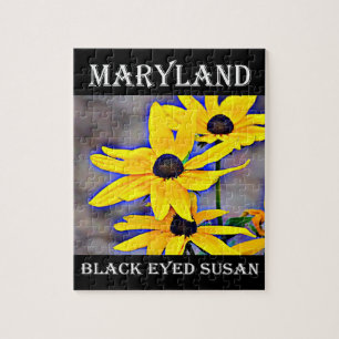 Maryland Black Eyed Susan Legpuzzel