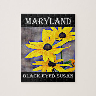 Maryland Black Eyed Susan Legpuzzel