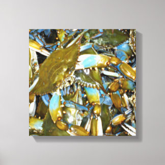 Maryland Blauwe Krabben Canvas Afdruk