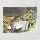 Maryland Blue Crab Briefkaart (Voorkant)