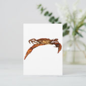 Maryland Blue Crab Briefkaart (Staand voorkant)