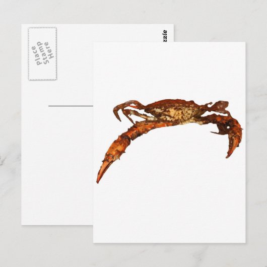 Maryland Blue Crab Briefkaart (Voorkant / Achterkant)