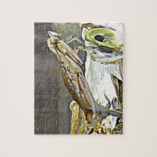 Maryland Blue Crab Legpuzzel (Verticaal)