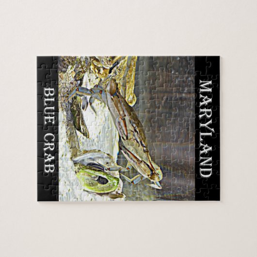 Maryland Blue Crab Legpuzzel (Horizontaal)