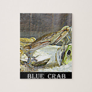 Maryland Blue Crab Legpuzzel