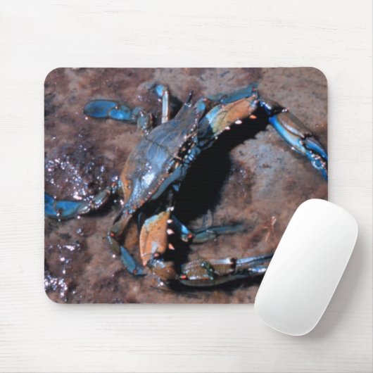 Maryland Blue Crab Muismat (Met muis)