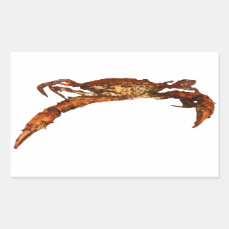 Maryland Blue Crab Rechthoekige Sticker