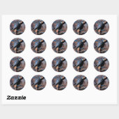 Maryland Blue Crab Ronde Sticker (Vel)