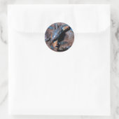 Maryland Blue Crab Ronde Sticker (Tas)