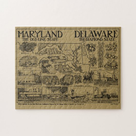 Maryland en Delaware Illustrative Map Legpuzzel (Horizontaal)
