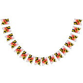 Maryland Flag Party Bunting Banner (Alle)