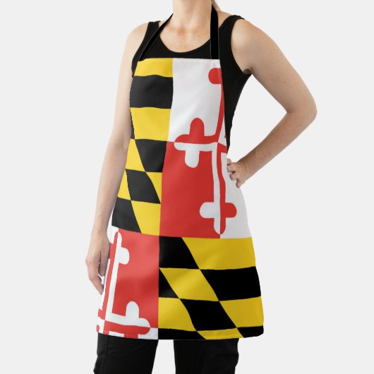 Maryland Flag Schort (Insitu)