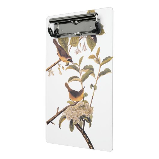 Maryland geelkeel audubon vogels in olijventeelt mini klembord (Angled2)