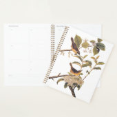 Maryland geelkeel audubon vogels in olijventeelt planner (Display)