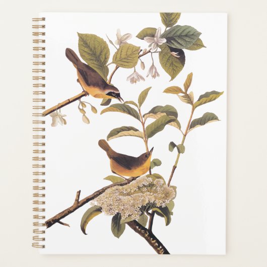 Maryland geelkeel audubon vogels in olijventeelt planner (Voorkant)
