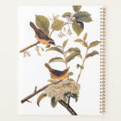 Maryland geelkeel audubon vogels in olijventeelt planner (Achterkant)