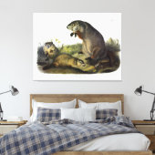 Maryland Marmot, Woodchuck, Groundhog van Audubon Canvas Afdruk (Insitu (Slaapkamer))