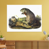 Maryland Marmot, Woodchuck, Groundhog van Audubon Canvas Afdruk (Insitu (Woonkamer))