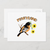 Maryland Oriole Briefkaart (Voorkant / Achterkant)
