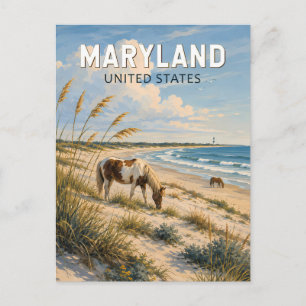 Maryland Paard Illustratie Reis Kunst Vintage Briefkaart