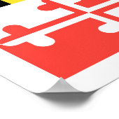 MARYLAND POSTER (Hoek)