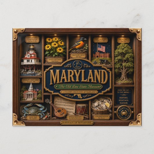 Maryland Shadow Box 3D Figuur Staat Briefkaart (Voorkant)