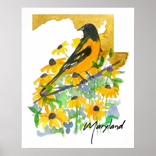 Maryland Staatsvorm Baltimore Oriole Susans Poster (Voorkant)