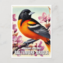 Maryland State Bird Baltimore Oriole Briefkaart