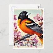 Maryland State Bird Baltimore Oriole Briefkaart (Voorkant / Achterkant)