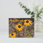 Maryland State Bloem Zwart-eyed Susan Foto Briefkaart (Staand voorkant)