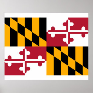 Maryland State Flag Design Poster