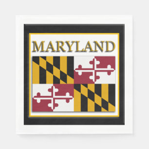 Maryland State Flag Design Servet
