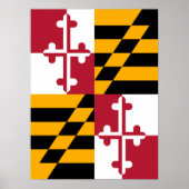 Maryland State Flag Graphic Poster (Voorkant)