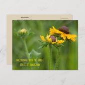 Maryland State Flower Briefkaart (Voorkant / Achterkant)