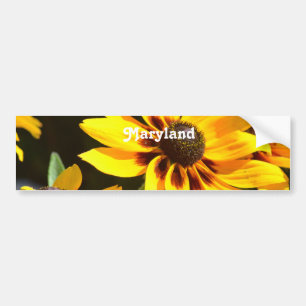 Maryland State Flower Bumpersticker