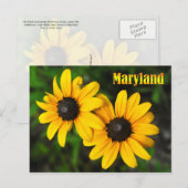 Maryland State Flower: Zwarte-oogige Susan Briefkaart (Voorkant / Achterkant)