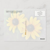 Maryland State Flower: Zwarte-oogige Susan Briefkaart (Achterkant)