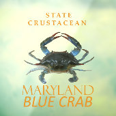 Maryland-territorium schaaldier Callinectes sapidu Raamsticker (Vel 3)