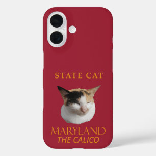 Maryland Territory Kat De Schilferkat iPhone 16 Hoesje