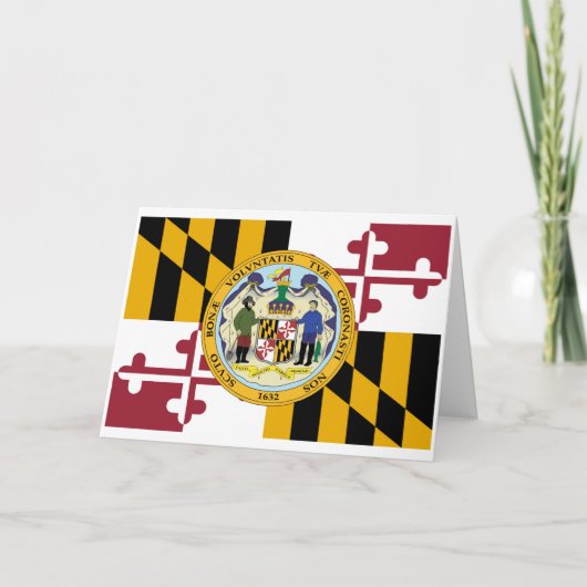 Marylander Flag & Seal Design, Flag of Maryland Kaart (Voorkant)