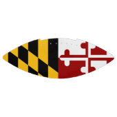 Marylandvlag American Football (Paneel)