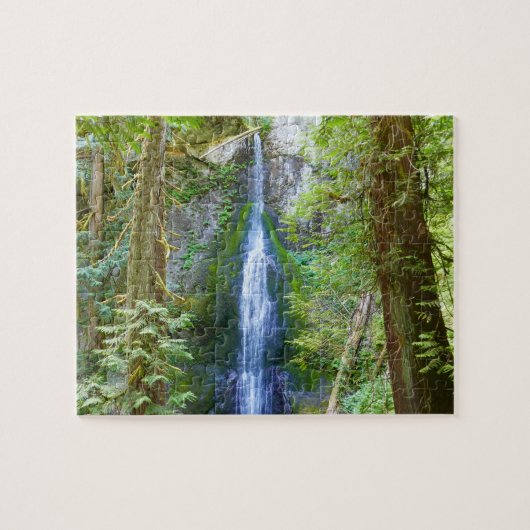 Marymere Falls I in Olympic National Park Legpuzzel (Horizontaal)