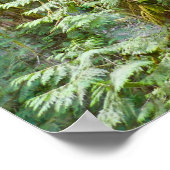 Marymere Falls I in Olympic National Park Poster (Hoek)