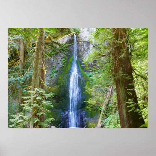 Marymere Falls I in Olympic National Park Poster (Voorkant)