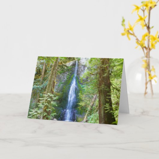 Marymere Herfsten I in het Olympic National Park Kaart (Gele Bloem)